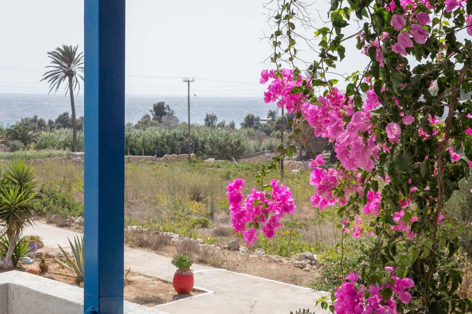 Firoa Studios Donoussa Esterno foto